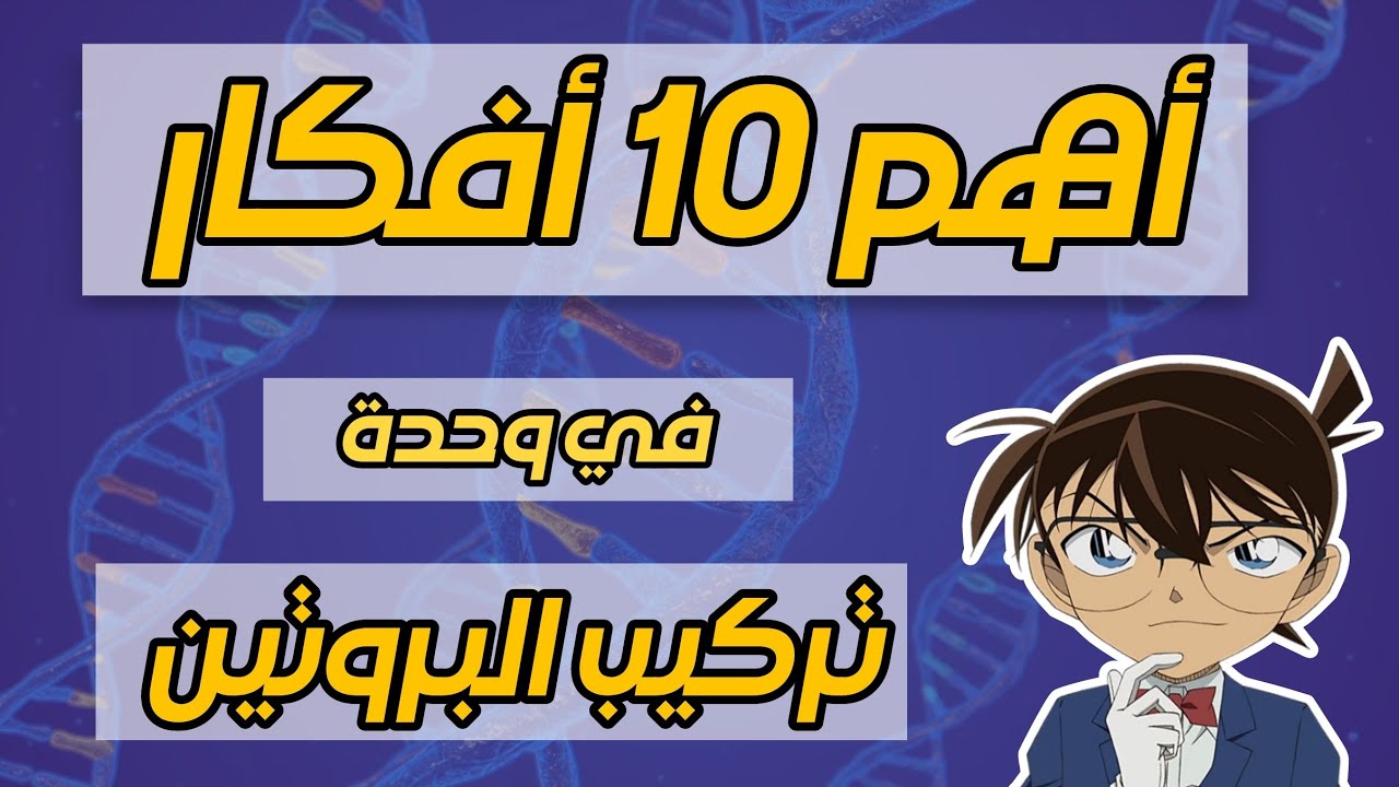 أهم 10 أفكار 🌟 في وحدة تركيب البروتين 🧬 .