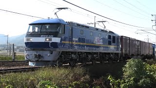 EF210-349 ECO-POWER桃太郎 吹田機関区
