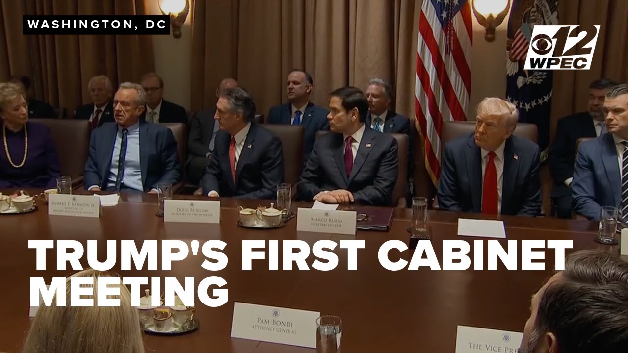 Elon Musk speaks at Trump's first cabinet meeting of new term - YouTube