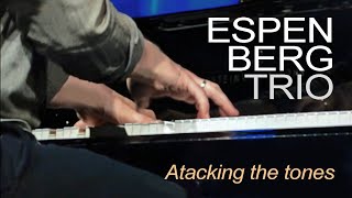 ESPEN BERG TRIO Atacking the tones | NATTJAZZ