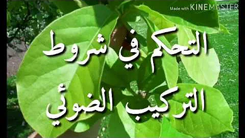 شروط عملية التركيب الضوئي
