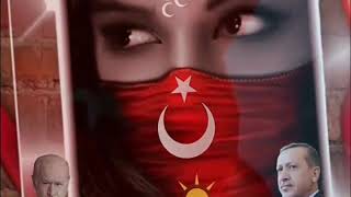Vatan Bayrak Türkiyem Resimi