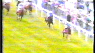 1991 - Epsom Derby - Generous