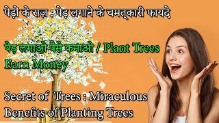 पेड़ों का राज़: चमत्कारी पेड़ लगाने के फायदे Secret of Trees: Miraculous Benefits of Planting Trees