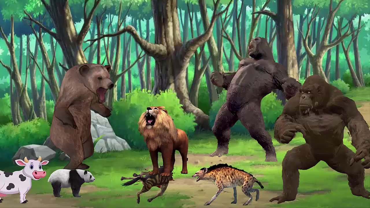 حكاية البقرة التائهة و الباندا مع الضباع والاسد والغوريلا