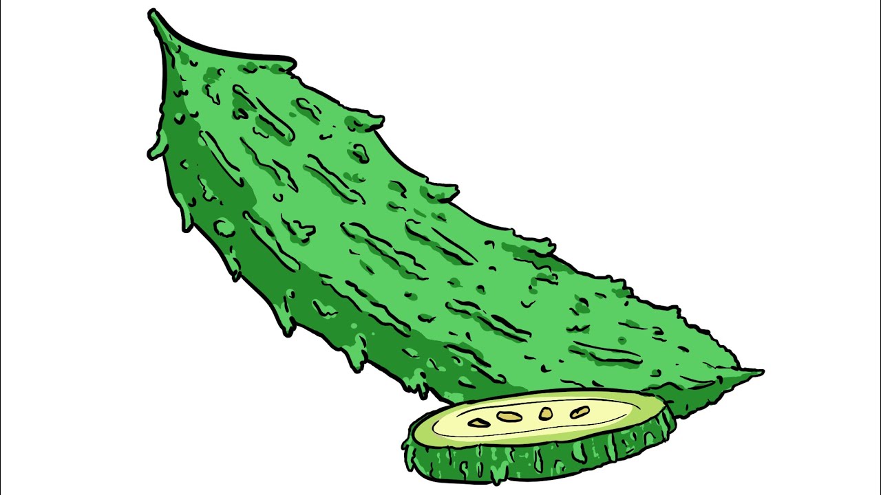 How to Draw BITTER GOURD With BETTER - YouTube