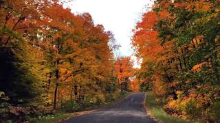 Wisconsin Fall Drive (short version)