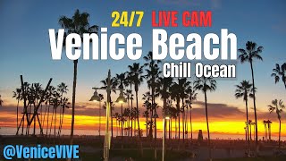 Venice Beach LIVE CAM 24/7 | Sunset🌅 & Surf Vibes 🌊 | Boardwalk, Plaza & Ocean View 4K