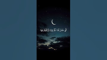 { وَلاَ تُؤْتُواْ السُّفَهَاء أَمْوَالَكُمُ } سورة النساء بصوت القارئ ياسر الدوسري #قرآن🎧😌🌿