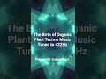 Organic Plant Techno #432hz #newmusic #techno #organicelectronicmusic #newsong #electronicmusic