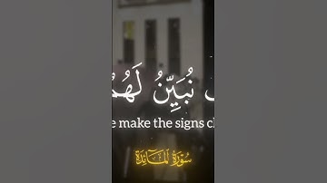 سوره المائده || أفلا يتوبون إلى الله || للشيخ محمد اللحيدان 💞