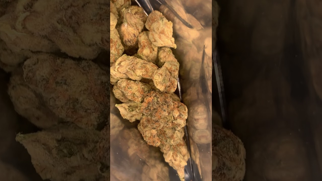 Uk medical cannabis (black cherry punch) medicine ,prescription