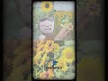 SUNFLOWER Short Lyric Video 🌻