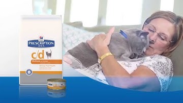 The single solution for multiple causes of FLUTD