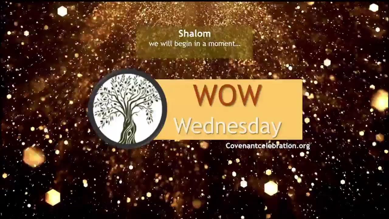 WoW Gathering: 11/19/25