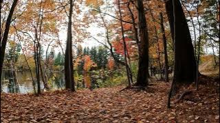 Sebastian Plano - Prelude to a Soul @SebastianPlanoOfficial