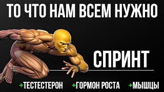 картинка: СПРИНТ. ТО ЧТО НАМ ВСЕМ НУЖНО