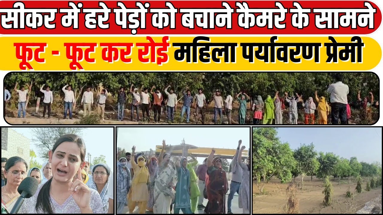 Chipko Andolan In Sikar: Petrol Pump बनाने के लिए प्रशासन काट रहा हरे छायादार फलदार पेड़ों को !