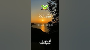 قل يا عبادي الذين أسرفوا || سورة الزمر || أسامه عبدالرحمن #اكسبلور #quran  #قرآن#قران_كريم