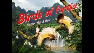 Birds of Paradise - Rajskie ptaki