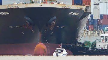 Công việc thách thức nhất của tàu lai dắt Đẩy quay đầu tàu container