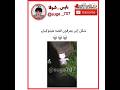شكل إلي يعرفون قصه هيلو كيتي Shorts AKV Suga707 شكل إلي يعرفون قصه هيلو كيتي Shorts AKV Suga707
