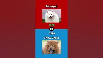 Would you rather? Part 18 #games #trivia #quiz #dog