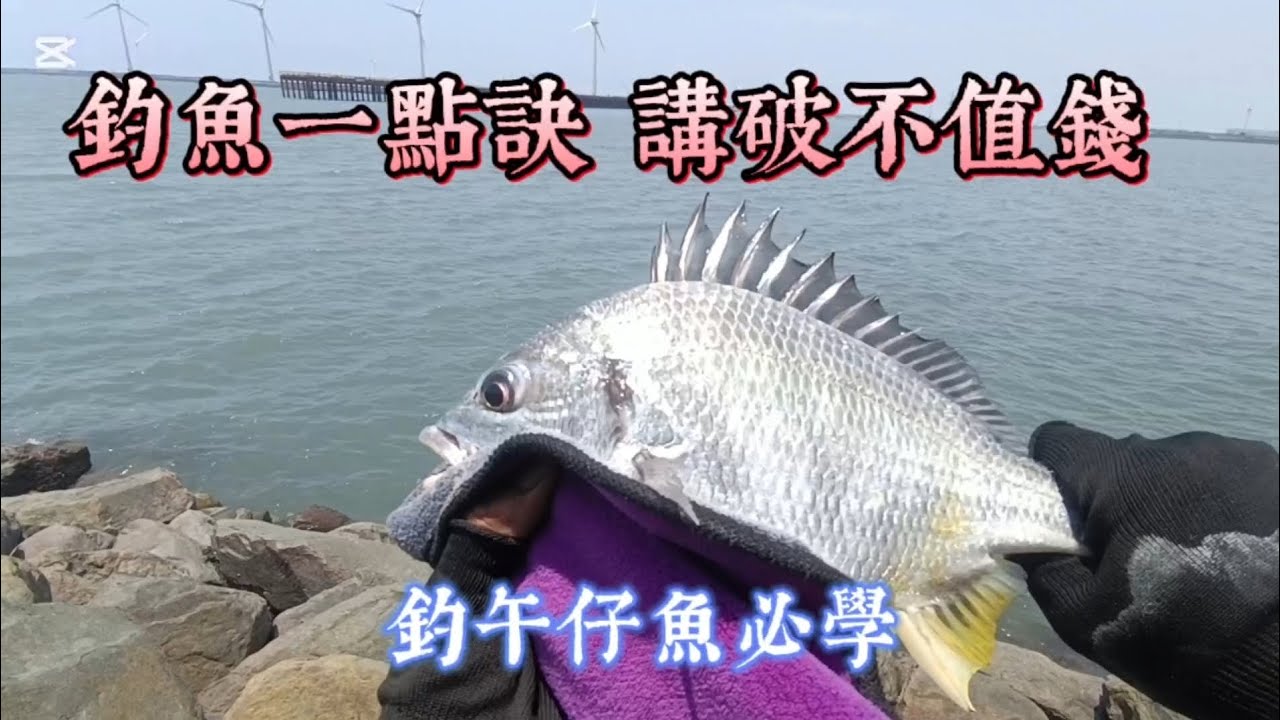 我最熟悉的釣場😁感謝大海賜魚🙏#fishing #釣魚 #阿旺愛釣魚