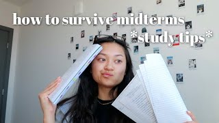 how to survive midterms | study tips