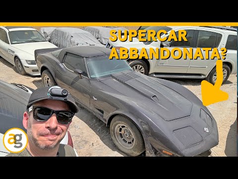 SUPERCAR ABBANDONATE e FUFFAGURU? A DUBAI per CONFRONTARE le INSTA360