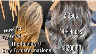 Going Grey | The REALITY Of GREY Transformations | Full Application & Formulations