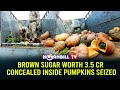 Brown sugar worth 35 cr concealed inside pumpkins seized