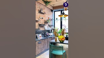 Can You Spot Ziko in 10 Seconds? 👀 #Shorts