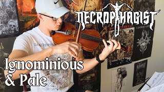 NECROPHAGIST Ignominious &amp; Pale (solo) - violin cover