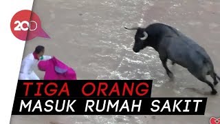 Ngeri-ngeri Sedap! Beginilah Festival Berlari Dikejar Banteng