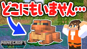 マイクラmk茶色のかえる Mp3