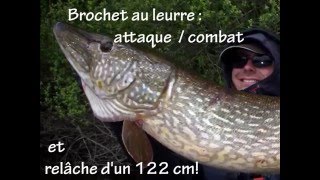 Combat et relâche d'un gros brochet de 122cm