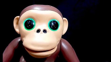 Zoomer Chimp Interactive Robot Chimpanzee Review