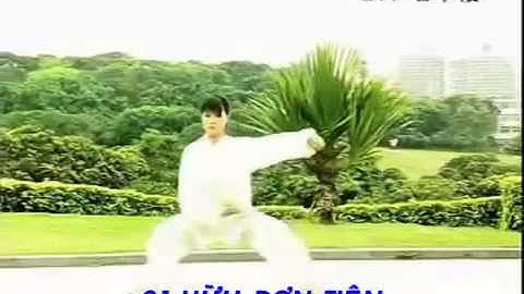 TRẦN THỨC THÁI CỰC QUYỀN 56 THỨC