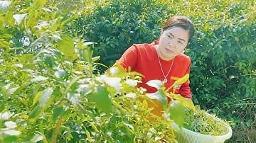 TỰ TAY LÀM GỎI CÁ TRẮM ĐEN – MÓN NGON ĂN 1 LẦN LÀ NHỚ MÃI | TUYÊN XINH GÁI