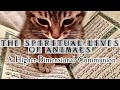 The Spiritual Lives of Cats &amp; Dogs: A Higher-Dimensional Communion