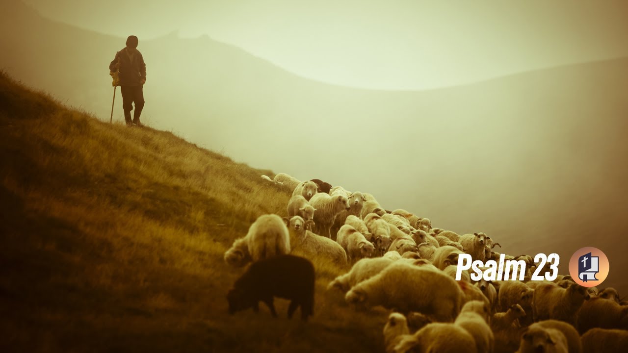 psalm-23-reading-and-a-short-summary-reflecting-on-the-psalm-no-music