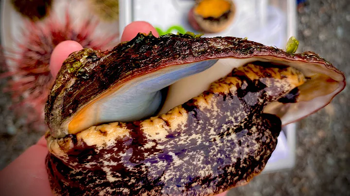How to Clean and Cook Abalone - DayDayNews