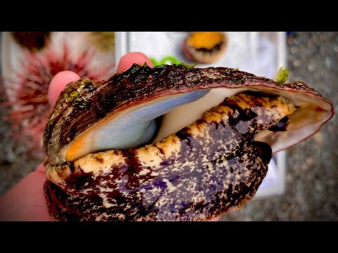 Video: Hoe abalone schoon te maken?