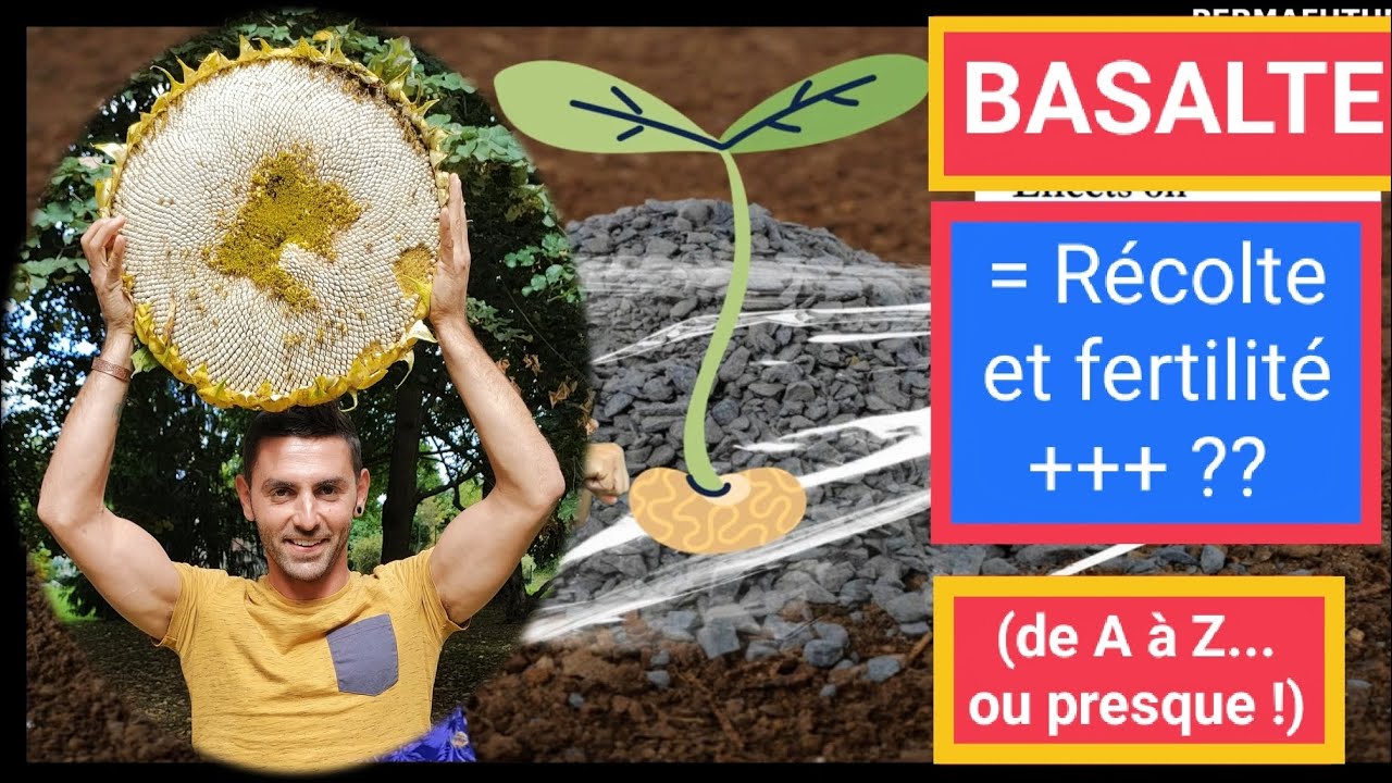 BASALTE = Récolte et FERTILITÉ +++ ?? De A à Z ou presque ! ... #agroecologie #electroculture