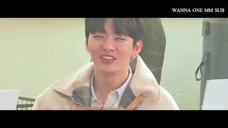 Pine Treewannable Versionmm Sub