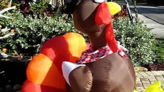 Thanksgiving Indoor And Outdoor Decorations
