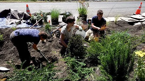 Building a Rain Garden in the City