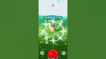 Shiny Farfetch’d = shiny flex🦆✨#pokemon #shinyfarfetchd #pokemonshorts #pokemongo #pokemoncommunity