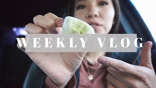 WEEKLY VLOG | Trying Mochi, First Chiropractor Visit, Finals, New Nails